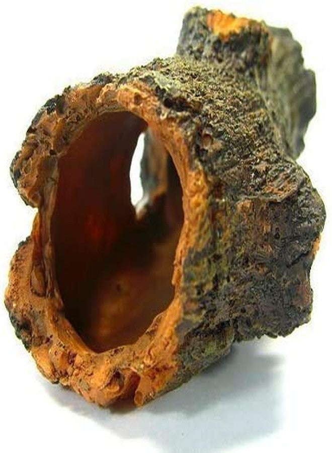 CORISRX Betta Log Decaying Trunk 4.3 inches Driftwood Decor - Small Wooden Fish Tank Freshwater Decorations Aquarium Ornament Tree Plants Wood - Image 5